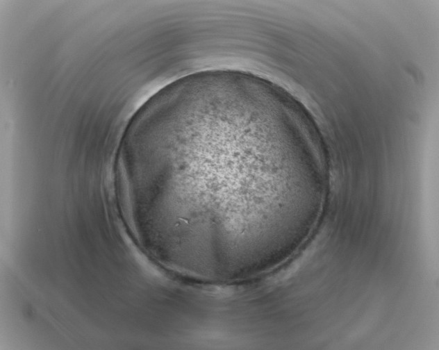 X0000115061521200911091435