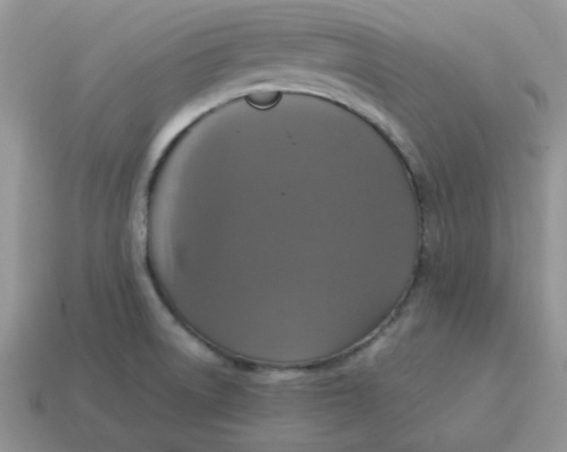 X0000115061522200911091435