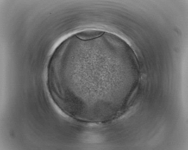 X0000115061523200911091435