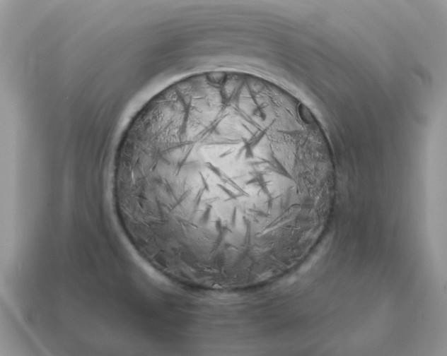 X0000115061525200911091435