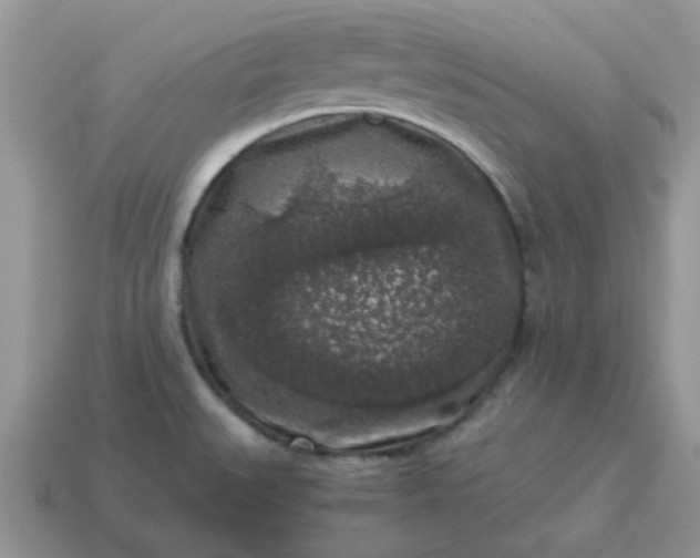X0000115061527200911091435