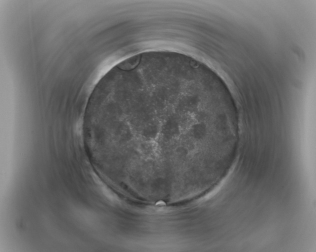 X0000115061529200911091435
