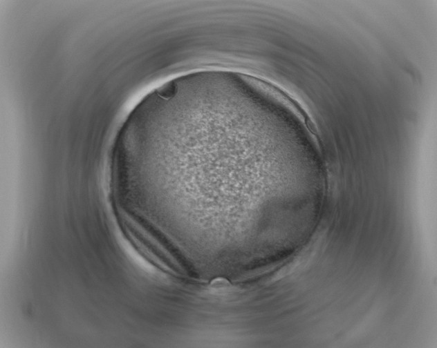 X0000115061531200911091435