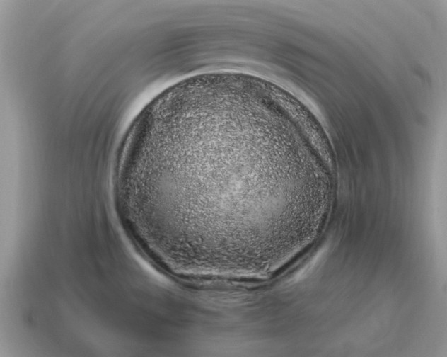 X0000115061533200911091435