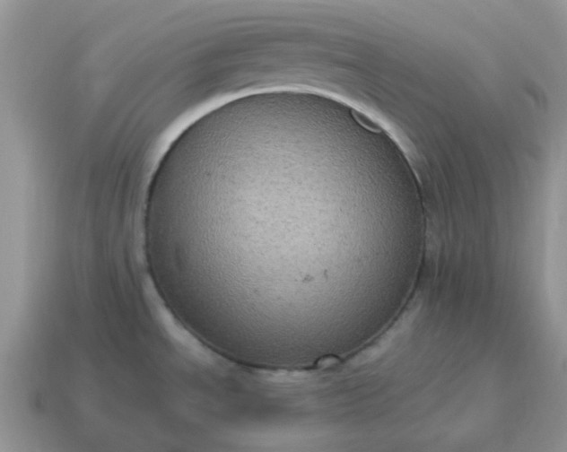 X0000115061534200911091435