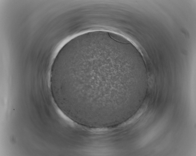 X0000115061535200911091435