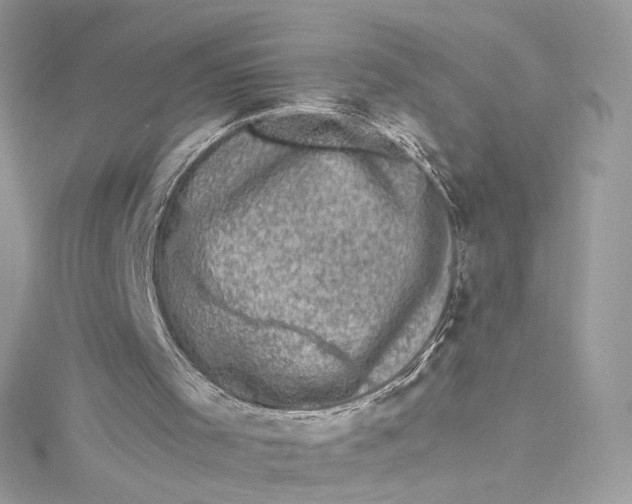 X0000115060001200911161618