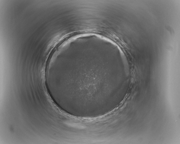 X0000115060002200911161618