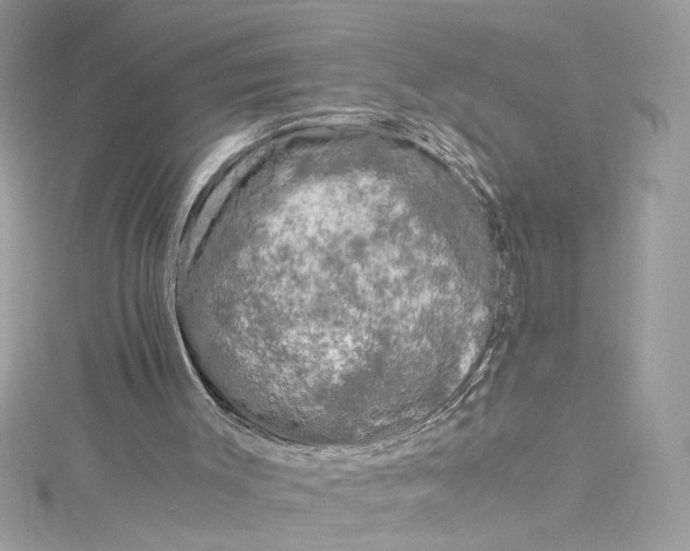 X0000115060003200911161618