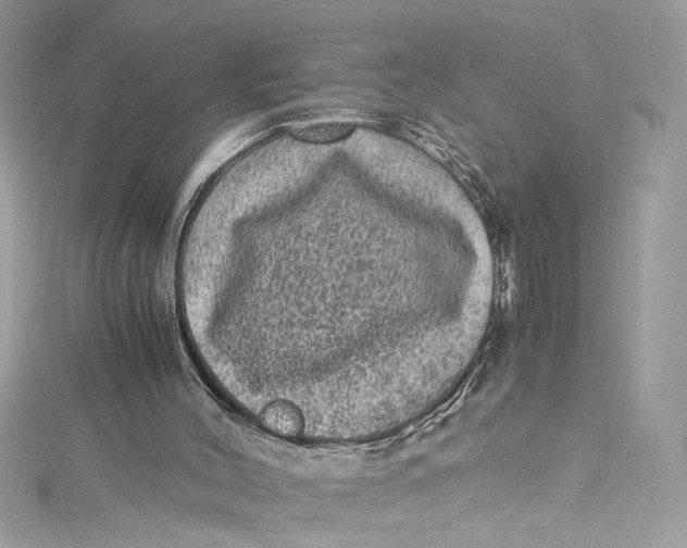 X0000115060004200911161618