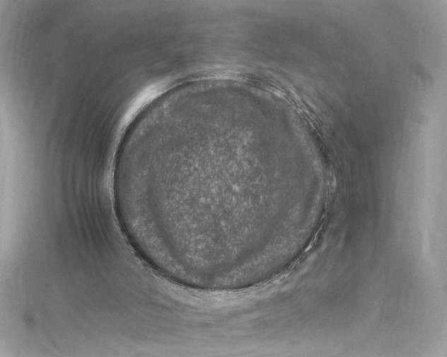 X0000115060006200911161618