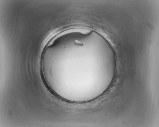 X0000115060007200911161618