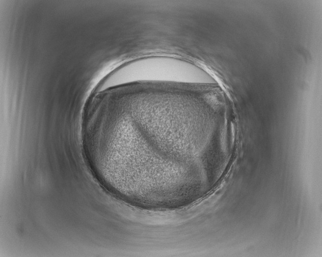 X0000115060008200911161618