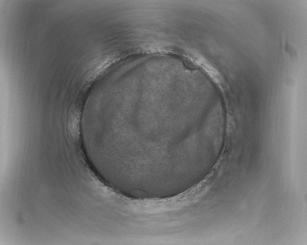 X0000115060009200911161618