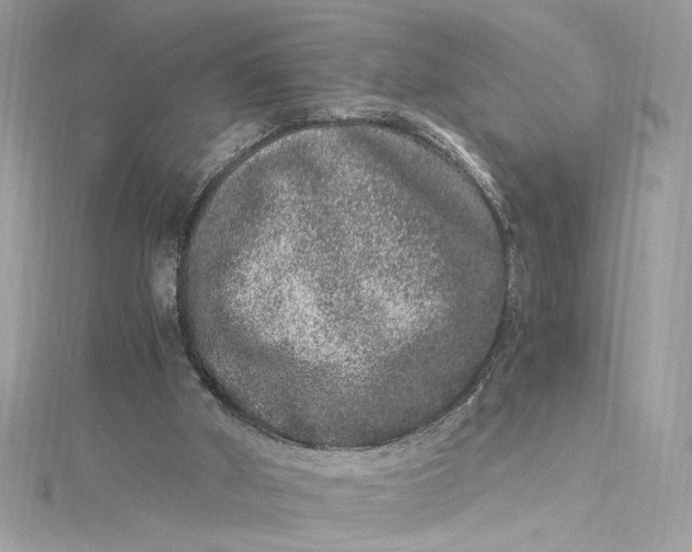 X0000115060010200911161618