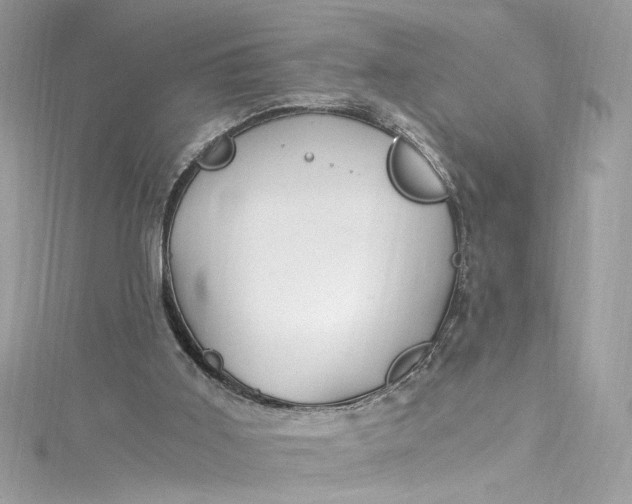 X0000115060011200911161618