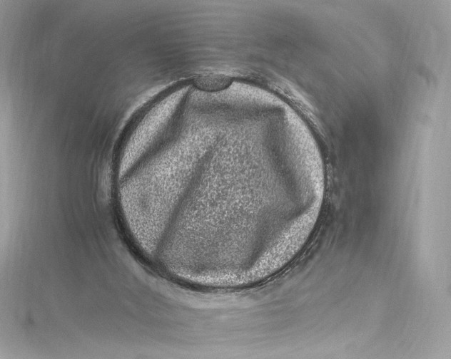 X0000115060012200911161618