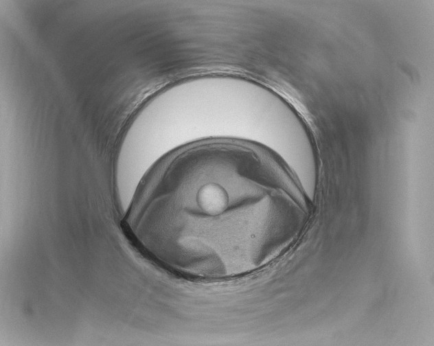 X0000115060013200911161618