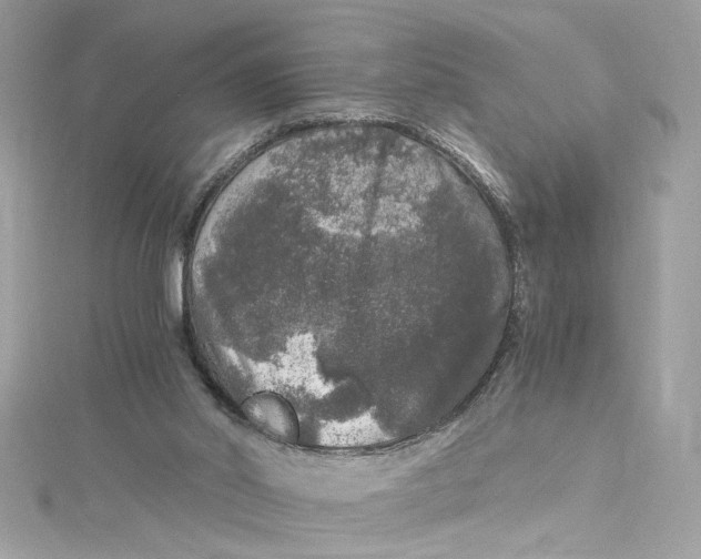 X0000115060014200911161618