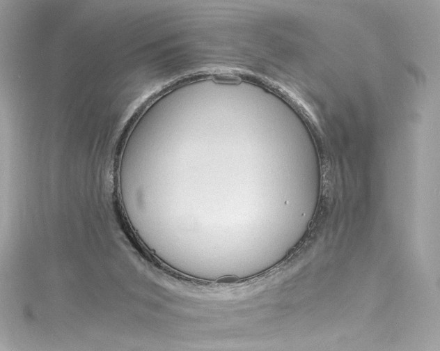 X0000115060015200911161618