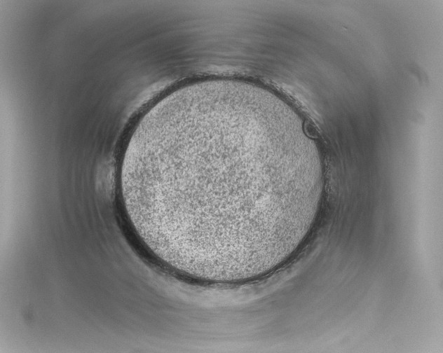 X0000115060016200911161618