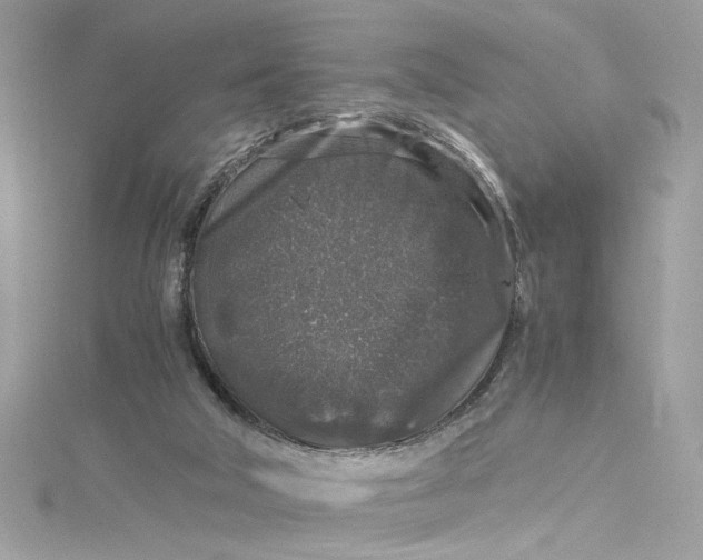 X0000115060018200911161618