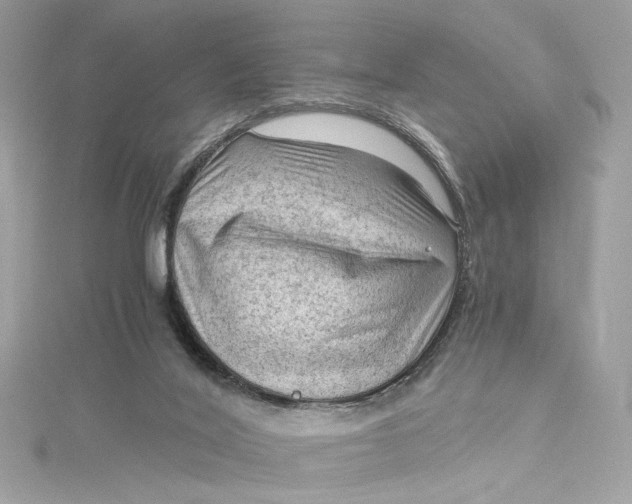 X0000115060020200911161618