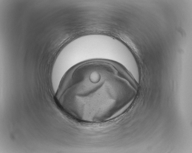 X0000115060021200911161618