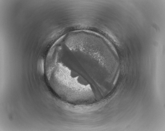 X0000115060022200911161618