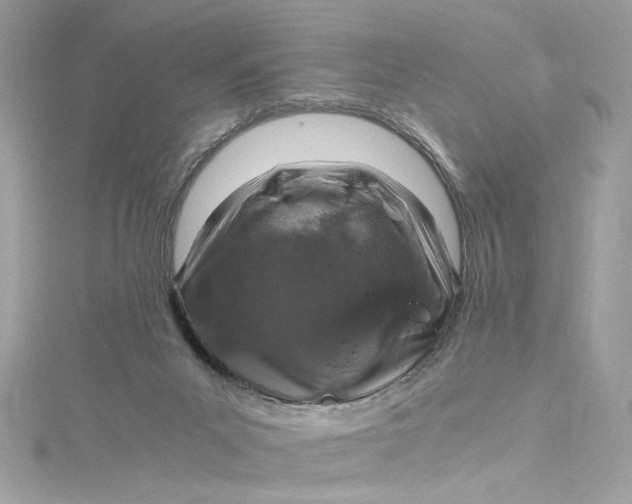 X0000115060023200911161618