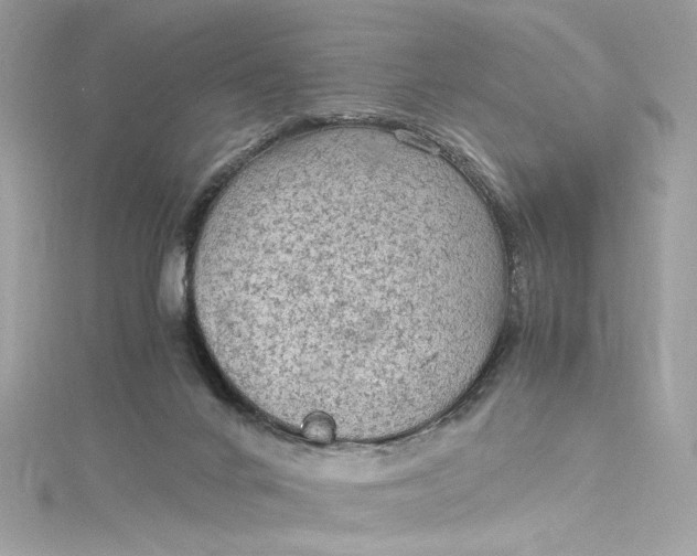 X0000115060024200911161618