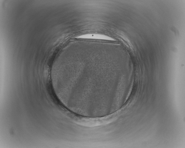 X0000115060029200911161618