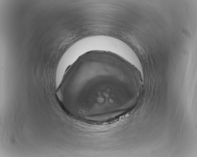 X0000115060031200911161618