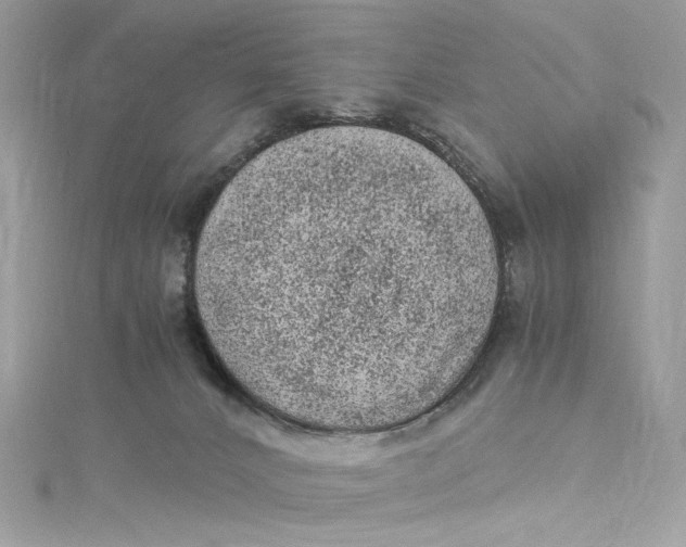 X0000115060032200911161618