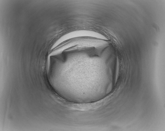 X0000115060033200911161618