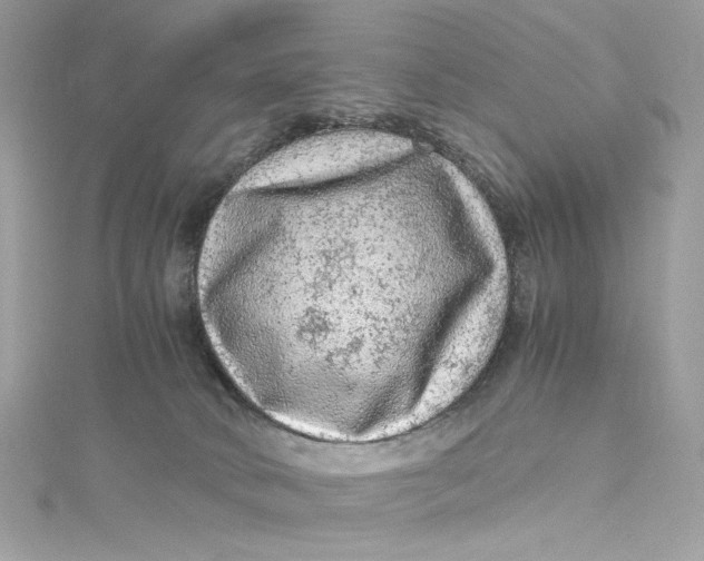 X0000115060034200911161618