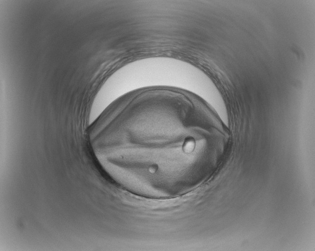 X0000115060035200911161618