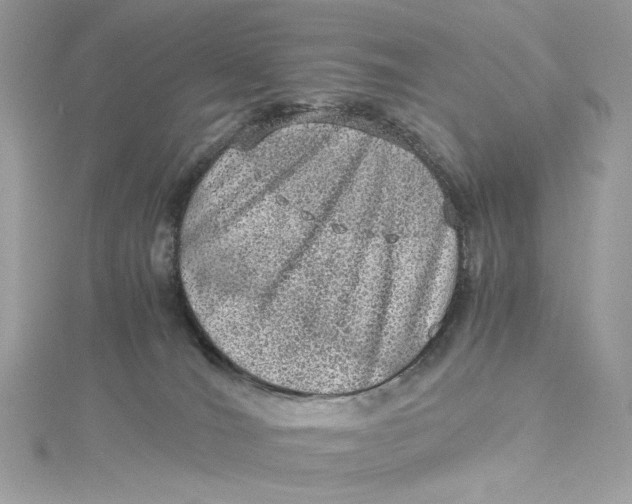 X0000115060036200911161618