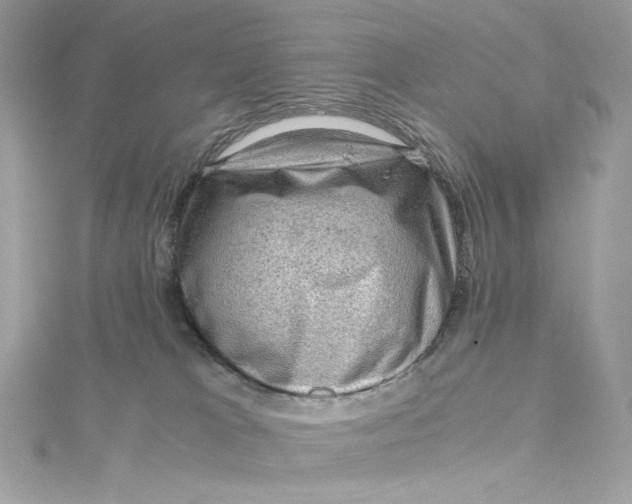 X0000115060037200911161618