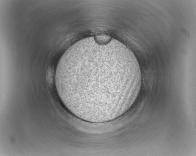 X0000115060038200911161618