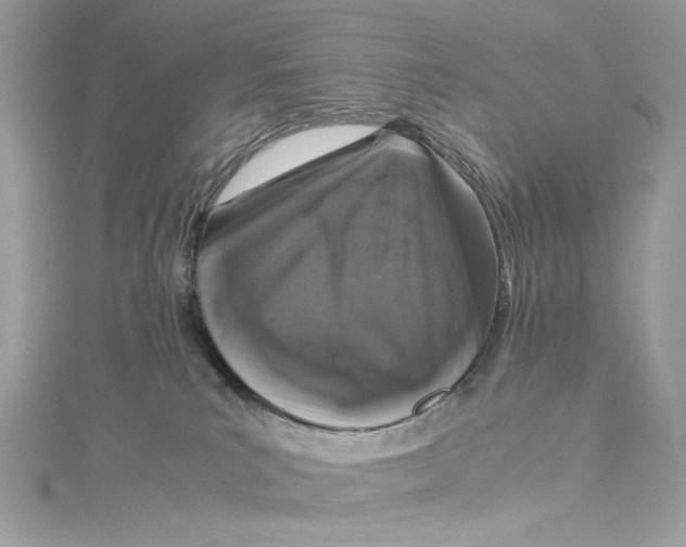 X0000115060039200911161618