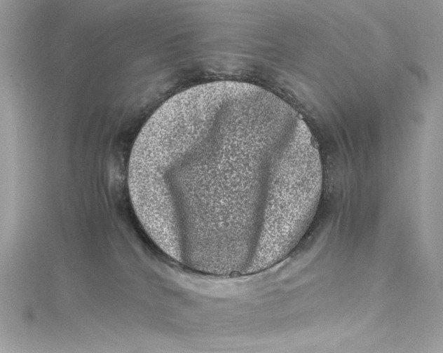 X0000115060040200911161618