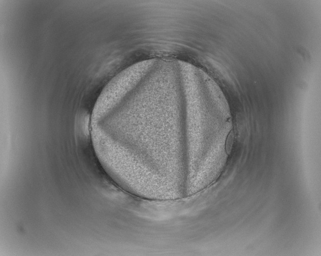 X0000115060041200911161618