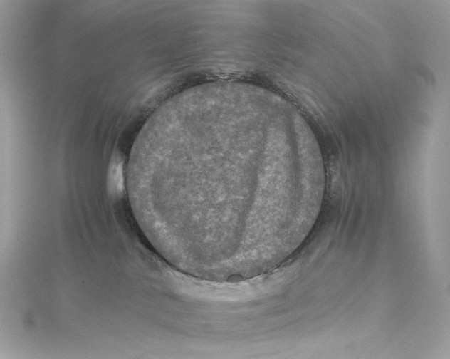 X0000115060042200911161618