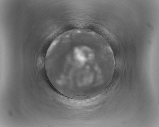 X0000115060043200911161618