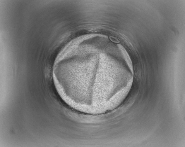 X0000115060044200911161618