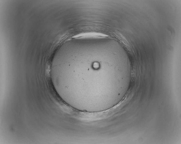 X0000115060045200911161618