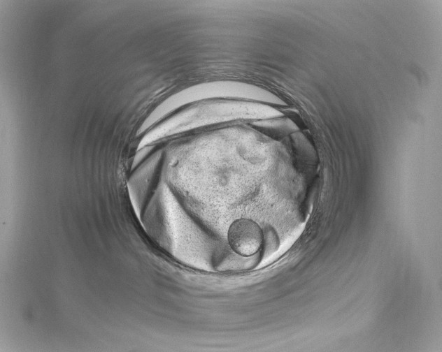 X0000115060048200911161618