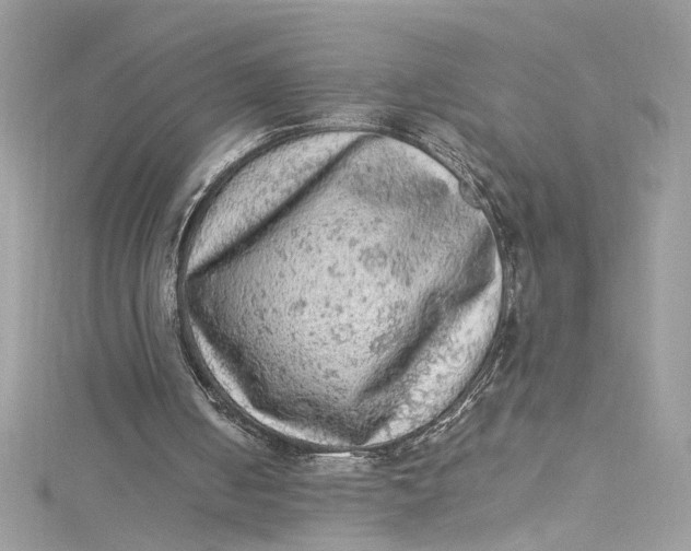 X0000115060050200911161617