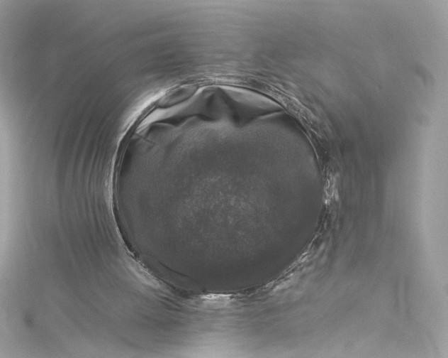 X0000115060052200911161617